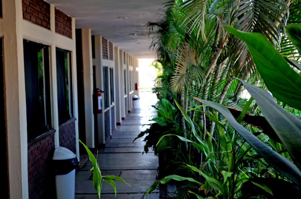 Hotel La Palapa 마사틀란 외부 사진